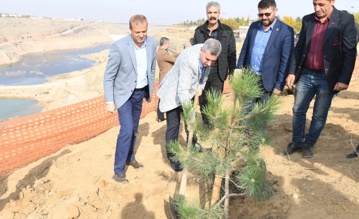 '11 Milyon Ağaç, Geleceğe Bırakılan En Büyük Mirastır'