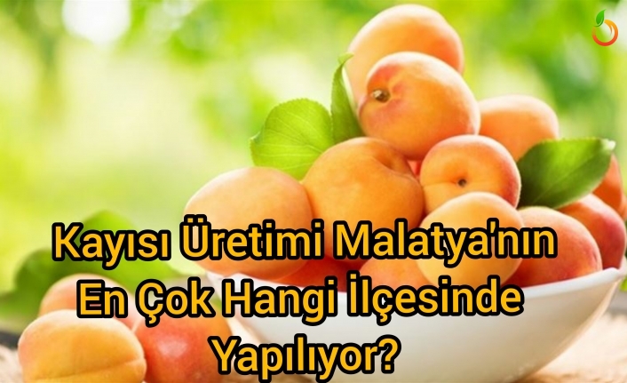 Malatya'da kayısı üretimi  en çok hangi ilçede yapılıyor ?