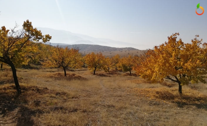 Tarım Arazileri Dronlar İle Gözlemlenecek