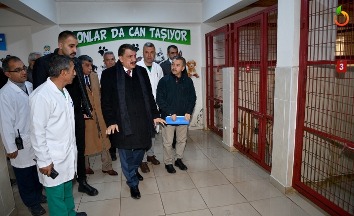 Başkan Gürkan, Hayvan Barınağında incelemelerde bulundu