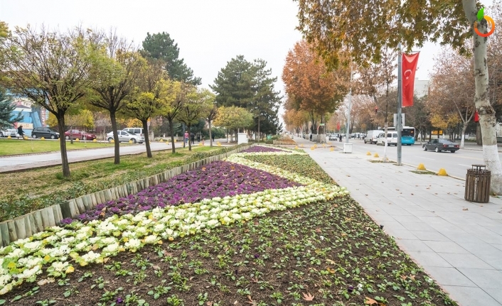 Büyükşehir fidan dikimine başladı