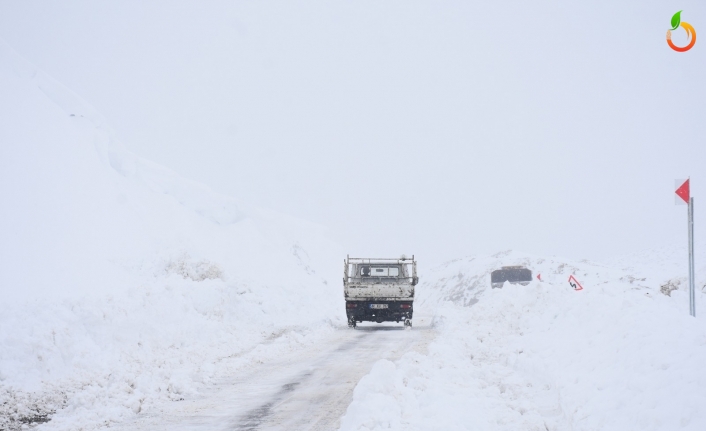 Malatya’da Kar yağışı, sis, tipi hayatı olumsuz etkiliyor