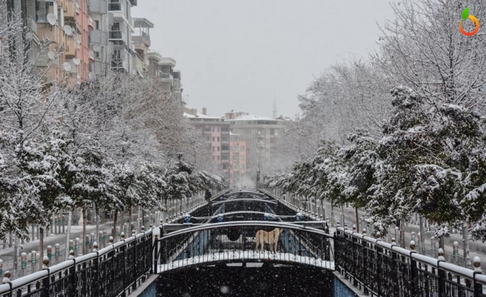 Kar Yağışı Hayatı Olumsuz Etkiledi