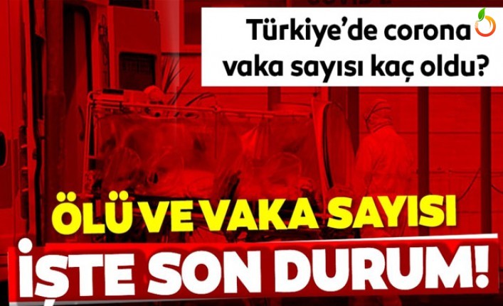 Bakan Koca Yeni Vaka Sayısını Açıkladı! 22 Mayıs