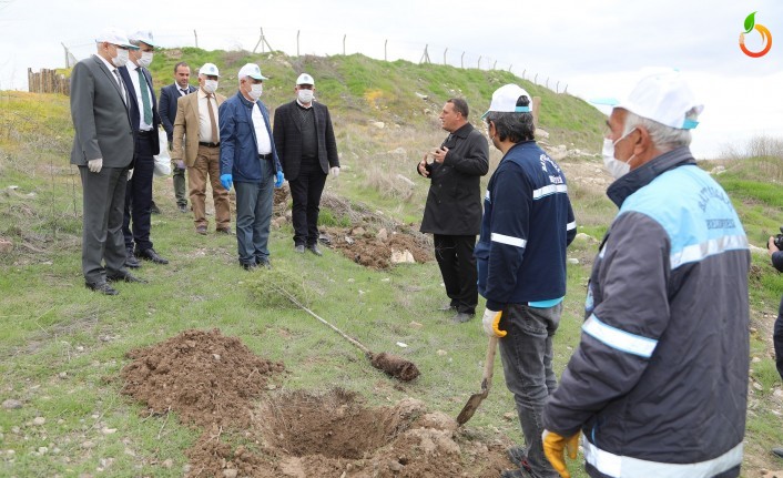 Battalgazi'de 750 fidan toprakla buluştu