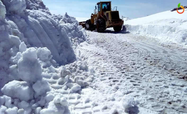 Büyükşehir'den Kar Mesaisi