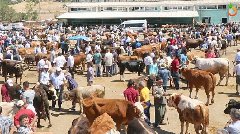 Malatya Hayvan Pazarı Koronavirüs Nedeniyle Kapatıldı