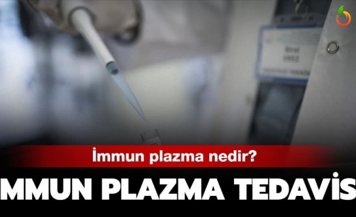 İmmün plazma nedir 'İmmün plazma' tedavisi nedir?