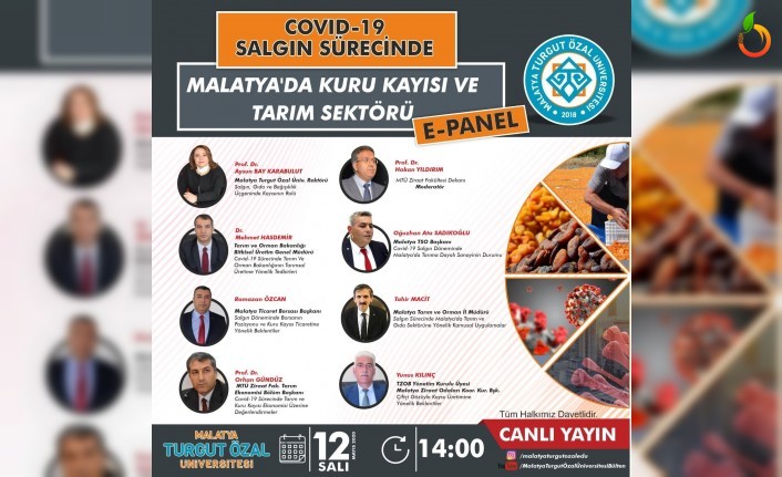 Kayısı İçin 2. Online Çalışma