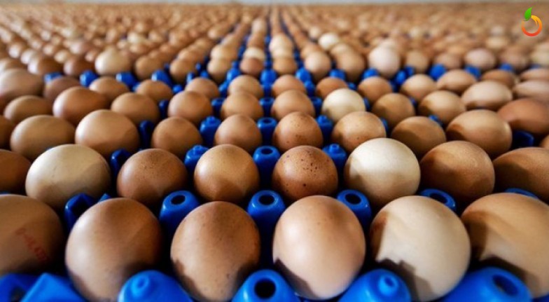 Yumurta'da ki Fiyat Artışından Vatandaş Şikayetçi