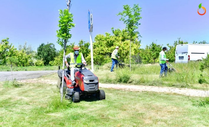 Parklarda yenileme ve düzenleme çalışması sürüyor