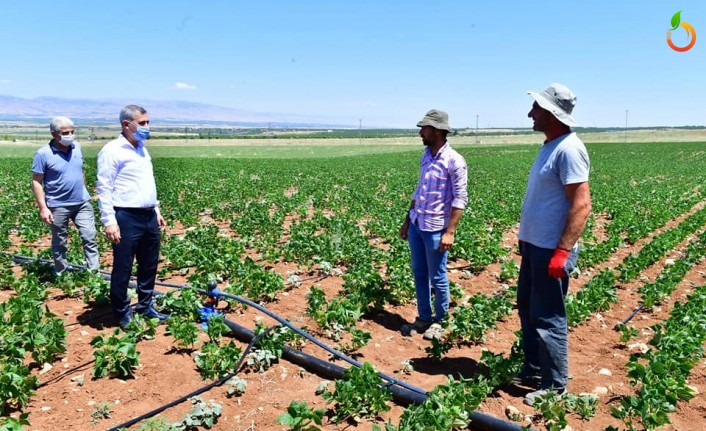 Başkan Çınar, Tarımsal Üretim-ARGE sahasını inceledi