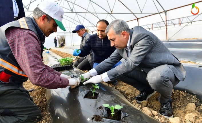 Başkan Çınar, 'Seracılıkta 21 bin 225 kilo doğal ve organik ürün hasadı yapıldı'