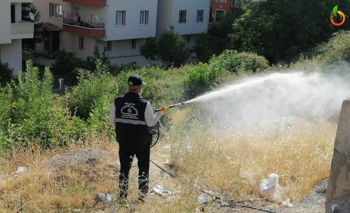 İlaçlama Ve Dezenfekte Çalışmaları Aralıksız Devam Ediyor