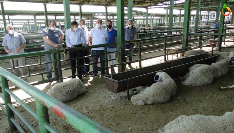 Kurban Bayramı Öncesi Hayvan Pazarında Denetim Yapıldı