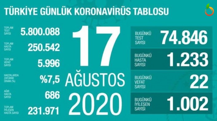 17 Ağustos  Corona Vaka Sayısı