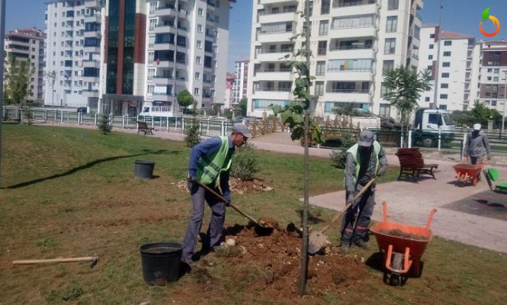 Yeşilyurt Belediyesi Parkların Temizliğine ve Bakımına Önem Veriyor