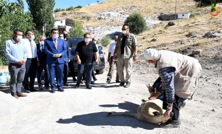 Başkan Gürkan, Hekimhan'da Coşkuyla Karşılandı