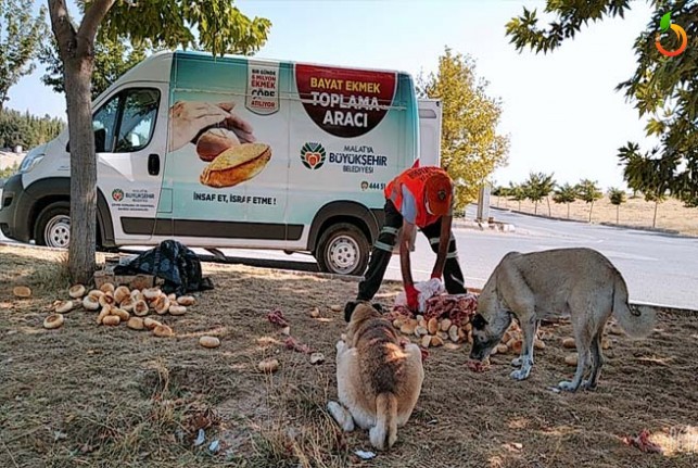 Malatya'da Günlük 200 Kg Bayat Ekmek Toplanıyor