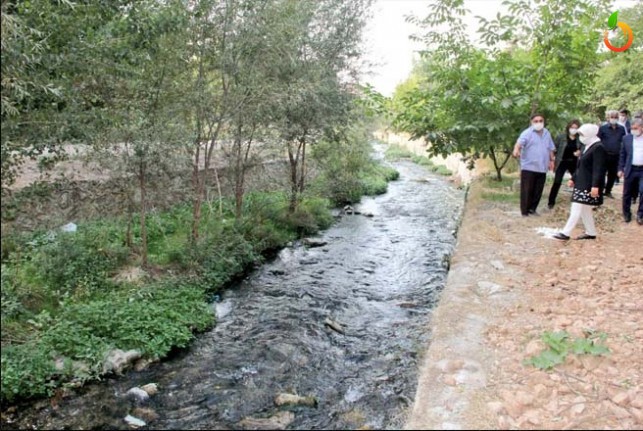 Milletvekili Çalık, Gündüzbey’de