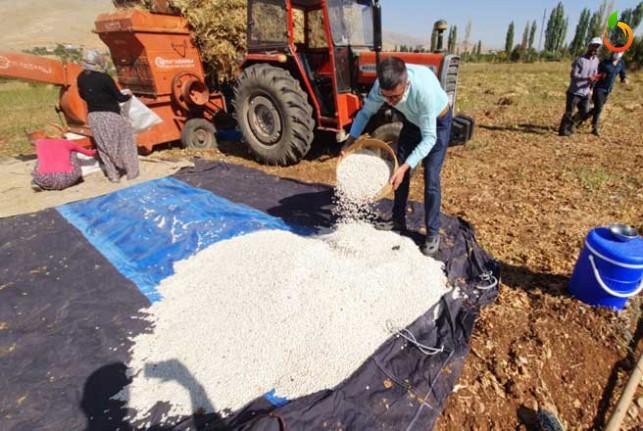 Doğanşehir Fasulyesi Esenlik Süpermarketler’de