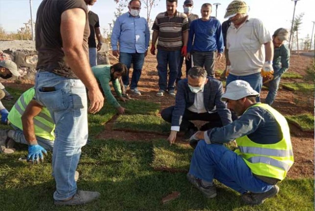 Yeşilyurt Belediyesi 15 Bin Metrekare Rulo Çim Üretti