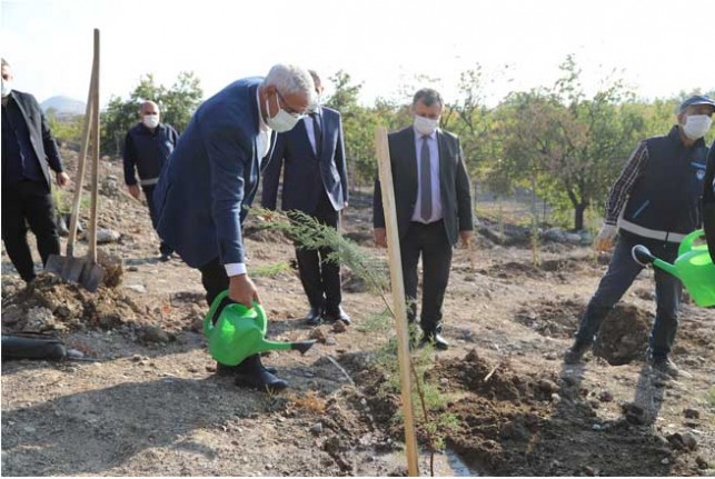 Battalgazi Belediyesi Malatya'yı Yeşillendiriyor