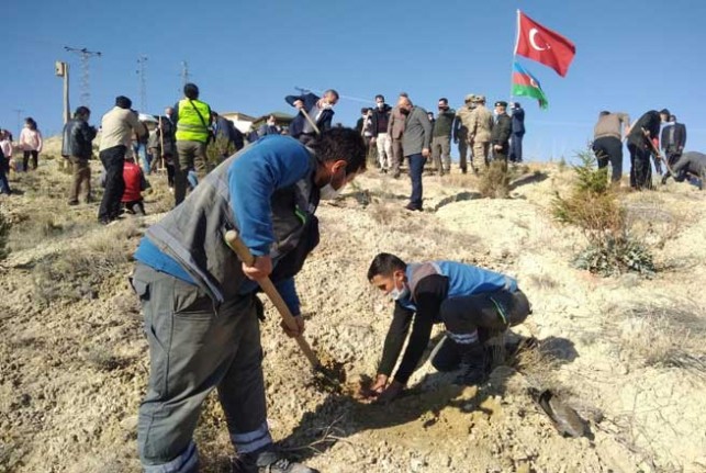 Fırat Edaş Malatya’da Diktiği Fidanlarla Doğaya Nefes Oldu