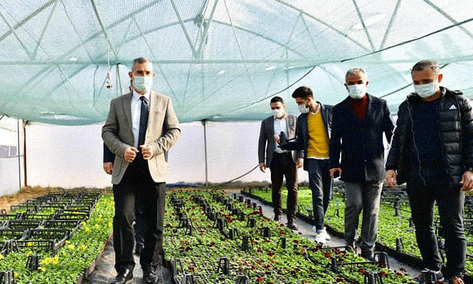 Yeşilyurt Belediyesi Çiçek Üretimiyle Ek Bir Maliyetten Daha Kurtuldu