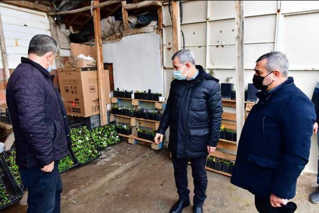 200 Bin Adet Fideyi Çiftçilerimize Ücretsiz Dağıtacağız