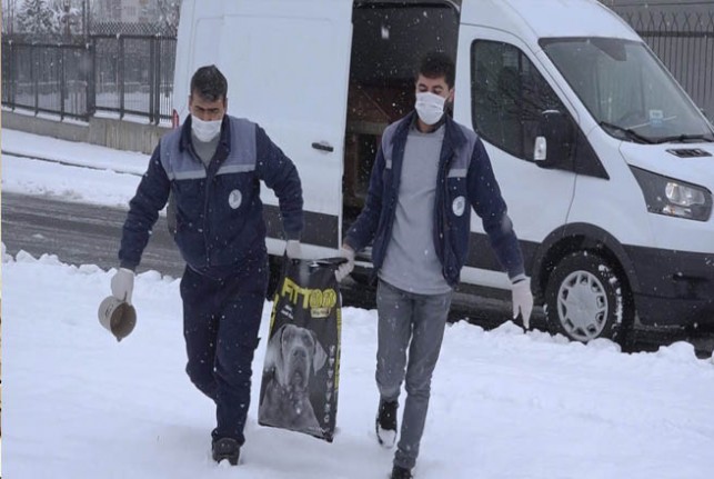 Sokak Hayvanlarının İmdadına Yeşilyurt Belediyesi Yetişti 