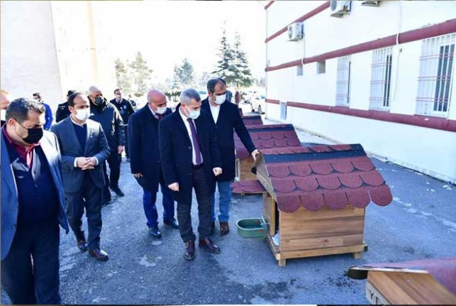 Yeşilyurt Belediyesi'den Sokak Hayvanları İçin Örnek Proje