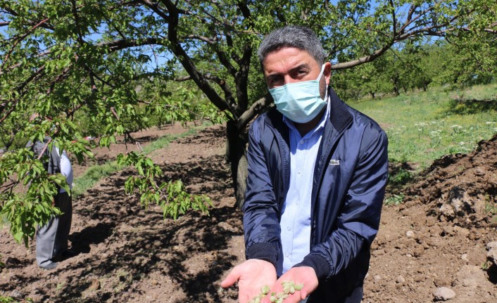 Başkan Kiraz, 'Çok vahim bir tablo var'