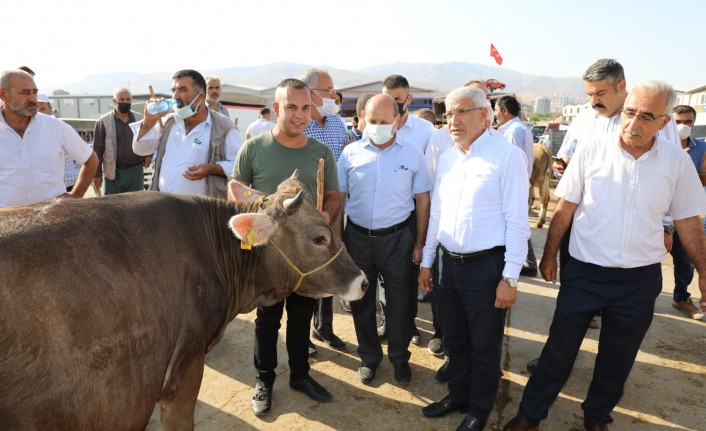 Başkan Gürkan Ve Başkan Güder, Canlı Hayvan Pazarı’nı Ziyaret Etti