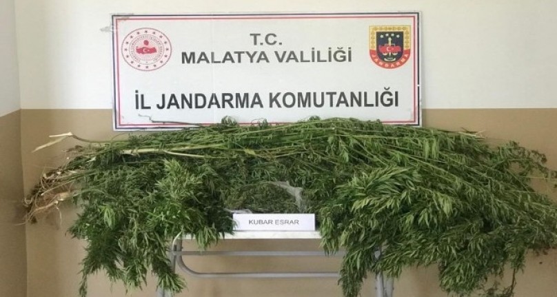 Malatya'da 1 kilo esrar ele geçirildi