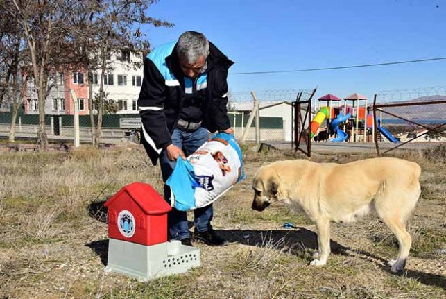 Battalgazi’de Can Dostlar İçin 19 Yeni Besleme Noktası