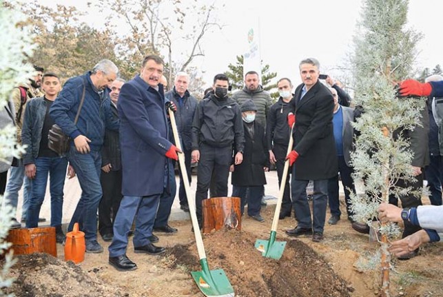 Hemşeri Dernekleri Orduzu Pınarbaşı’nda ağaç dikti