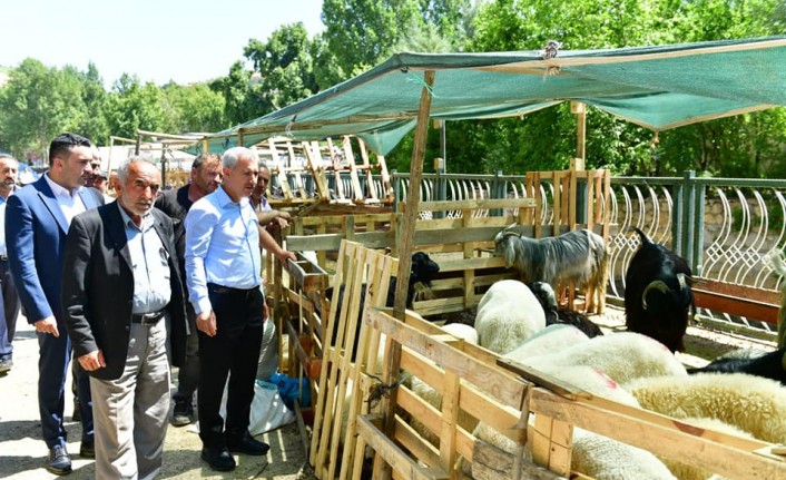 Başkan Çınar, Temizlik Çalışmaları İle Kurban Satış Ve Kesim Yerlerini İnceledi