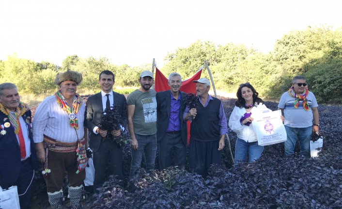 Arapgir'de festival dolu dolu geçti