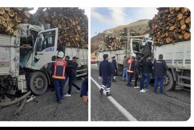 Odun Yüklü Kamyonun Freni Patladı