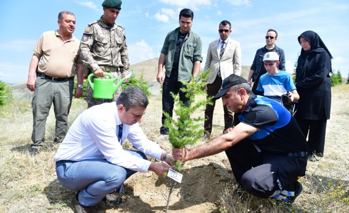 Malatya’da Depremlerde Hayatını Kaybeden 181 Çocuk İçin Fidan Dikildi