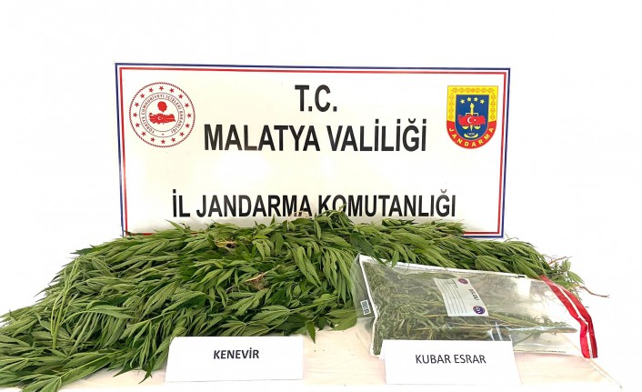 Doğanşehir'de kenevir ile uyuşturucu madde ele geçirildi