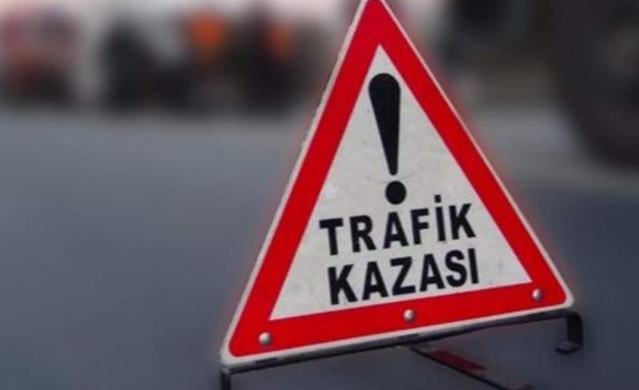 Malatya'da Araçla Elektrik Direğine Çarpan Sürücü Hayatını Kaybetti