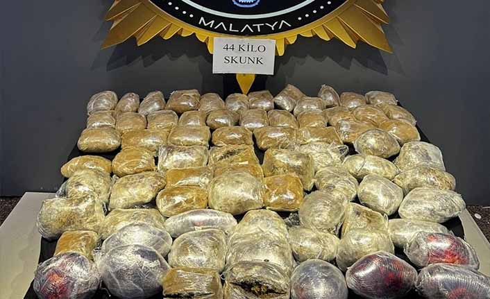 44 Kilo Skunk Ele Geçirildi