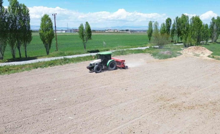 Battalgazi Belediyesi’nden yeşil alanda üretim hamlesi