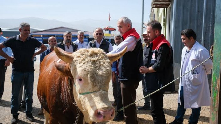 Hayvan pazarı ikinci bir emre kadar kapatıldı