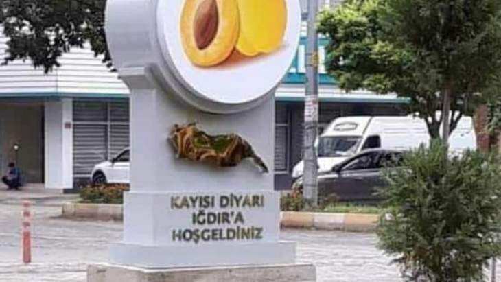 Festivali'de Kayısıyı'da Kaptırıyoruz Birilerine 