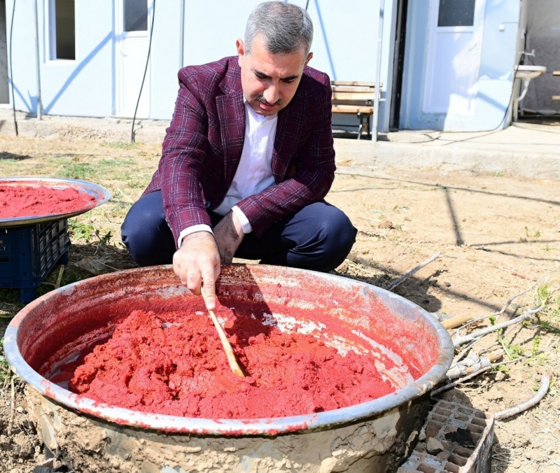 Başkan Çınar, sera alanını gezdi