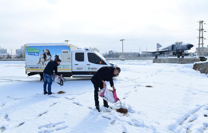 'Canlıları Sevmek ve Kollamak İnsani Bir Sorumluluktur'