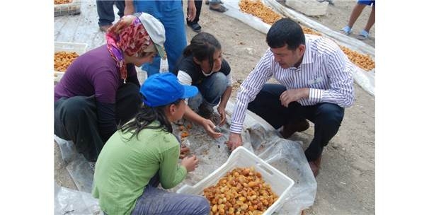 CHP'li Ağbaba, Mevsimlik Tarım İşçilerini Meclise Taşıdı
